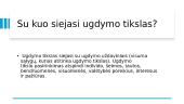 Ikimokyklinį ir priešmokyklinį ugdymą reglamentuojantys dokumentai 17 puslapis