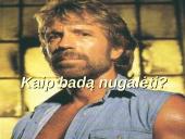 Skaidrės apie badą 11 puslapis