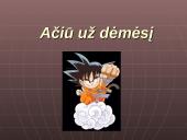 Skaidrės apie badą 13 puslapis