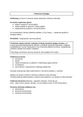 Virškinimo fiziologija. Konspektas
