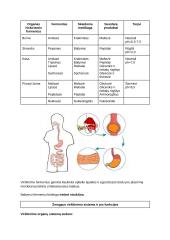 Virškinimo fiziologija. Konspektas 2 puslapis