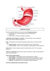 Virškinimo fiziologija. Konspektas 5 puslapis