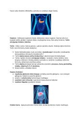 Virškinimo fiziologija. Konspektas 6 puslapis