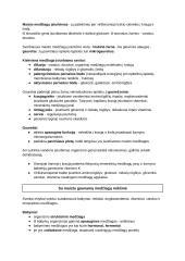 Virškinimo fiziologija. Konspektas 8 puslapis