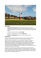 Stuburo slankstelio listezė 4 puslapis