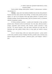 Verslo etikos esmė 13 puslapis