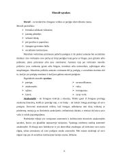 Verslo etikos esmė 3 puslapis