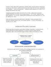 Varžybinės veiklos modelis. Dziudo 4 puslapis