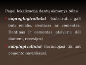 Mineralizuotos dantų apnašos 17 puslapis