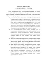 Normaliojo betono mišiniai 3 puslapis