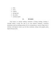 Normaliojo betono mišiniai 8 puslapis