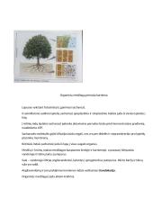 Konspektas - Medžiagų apykaita ir pernaša augaluose 12 puslapis