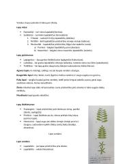 Konspektas - Medžiagų apykaita ir pernaša augaluose 14 puslapis