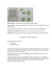 Konspektas - Medžiagų apykaita ir pernaša augaluose 16 puslapis