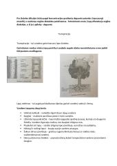 Konspektas - Medžiagų apykaita ir pernaša augaluose 18 puslapis