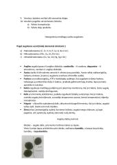 Konspektas - Medžiagų apykaita ir pernaša augaluose 7 puslapis