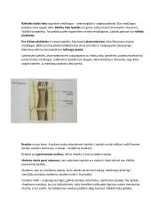 Konspektas - Medžiagų apykaita ir pernaša augaluose 9 puslapis