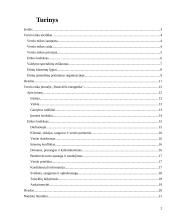 Verslo etika: "Panevėžio energetika" 2 puslapis