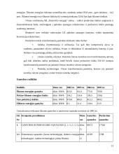 Verslo etika: "Panevėžio energetika" 13 puslapis