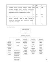 Verslo etika: "Panevėžio energetika" 14 puslapis