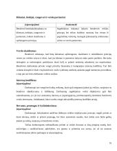 Verslo etika: "Panevėžio energetika" 16 puslapis