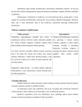 Verslo etika: "Panevėžio energetika" 18 puslapis