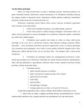 Verslo etika: "Panevėžio energetika" 5 puslapis