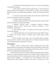 Verslo etika: "Panevėžio energetika" 6 puslapis