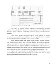 Verslo etika: "Panevėžio energetika" 8 puslapis