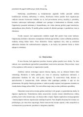 Verslo formos 11 puslapis