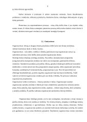 Verslo formos 6 puslapis