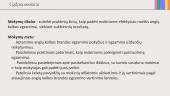 Anglų kalbos VBE: ką svarbiausia žinoti kiekvienam mokytojui ir kaip tinkamai pasirengti? 2 puslapis
