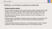 Anglų kalbos VBE: ką svarbiausia žinoti kiekvienam mokytojui ir kaip tinkamai pasirengti? 12 puslapis