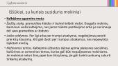 Anglų kalbos VBE: ką svarbiausia žinoti kiekvienam mokytojui ir kaip tinkamai pasirengti? 13 puslapis