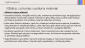 Anglų kalbos VBE: ką svarbiausia žinoti kiekvienam mokytojui ir kaip tinkamai pasirengti? 14 puslapis