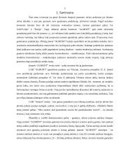 Verslo idėja ir strategija 2 puslapis