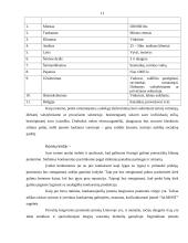 Verslo idėja ir strategija 11 puslapis