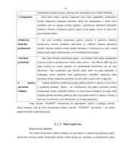 Verslo idėja ir strategija 13 puslapis