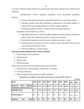 Verslo idėja ir strategija 14 puslapis