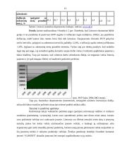 Verslo idėja ir strategija 15 puslapis