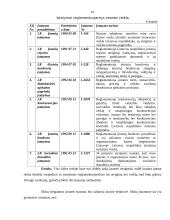 Verslo idėja ir strategija 16 puslapis