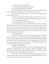 Verslo idėja ir strategija 17 puslapis