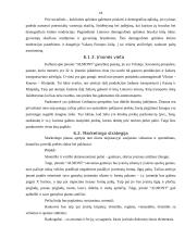 Verslo idėja ir strategija 18 puslapis