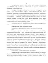 Verslo idėja ir strategija 19 puslapis