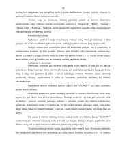 Verslo idėja ir strategija 20 puslapis