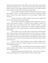 Verslo idėja ir strategija 3 puslapis