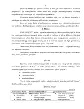 Verslo idėja ir strategija 5 puslapis