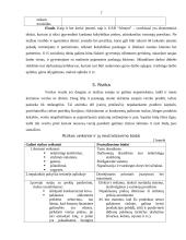 Verslo idėja ir strategija 7 puslapis