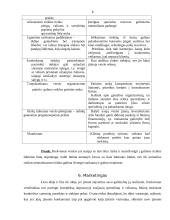 Verslo idėja ir strategija 8 puslapis