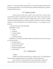 Verslo idėja ir strategija 9 puslapis